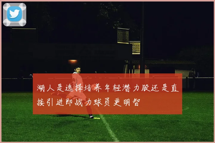 湖人是选择培养年轻潜力股还是直接引进即战力球员更明智